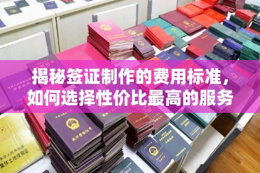 阳泉揭秘签证制作的费用标准，如何选择性价比最高的服务？
