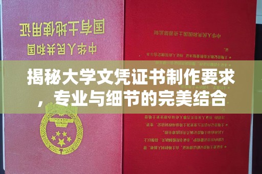 阳泉揭秘大学文凭证书制作要求，专业与细节的完美结合